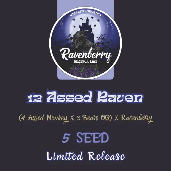 12 Assed Raven Auto