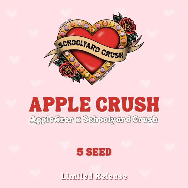Apple Crush Auto