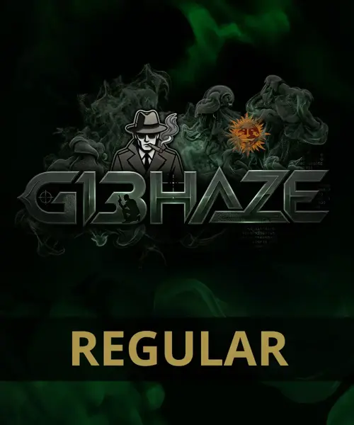 G13 Haze (R)