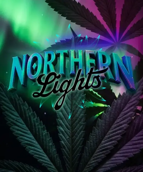 Northern Lights (R)