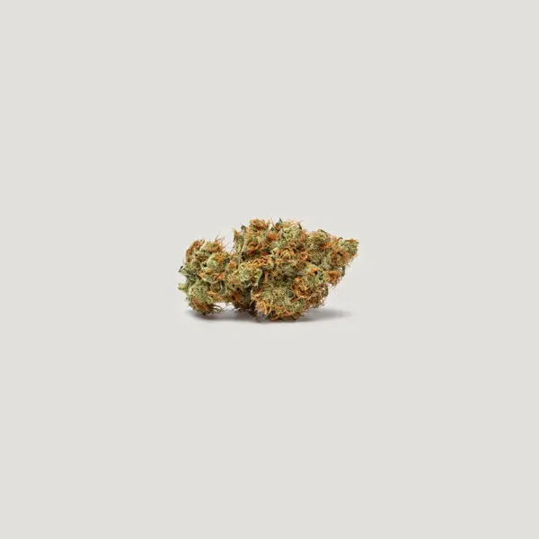 Papaya Plum Auto