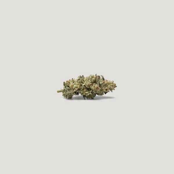Stellar OG (F)
