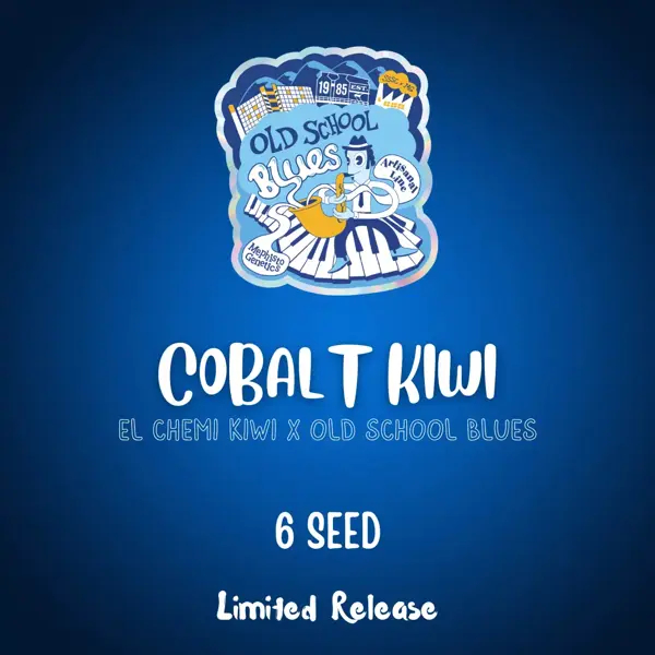 Cobalt Kiwi Auto
