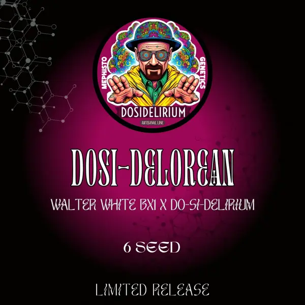 Dosi-DeLorean Auto