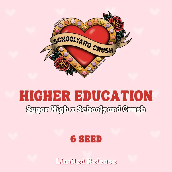 Higher Education Auto