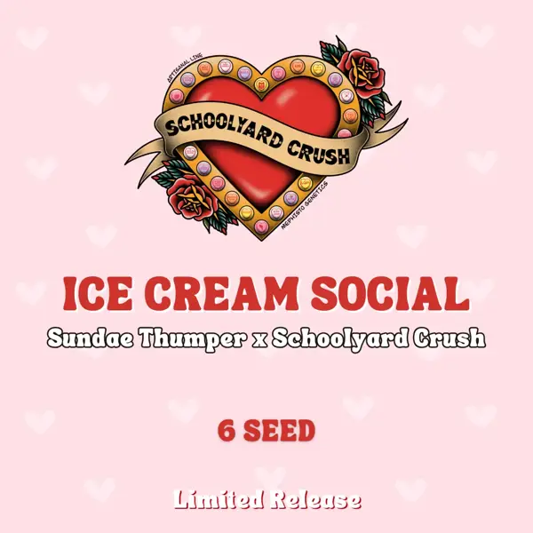Ice Cream Social Auto
