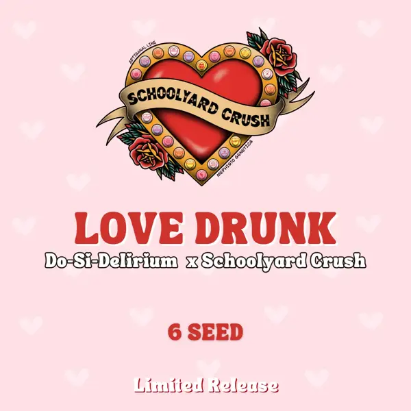 Love Drunk Auto