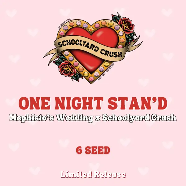 One Night Stan’d Auto