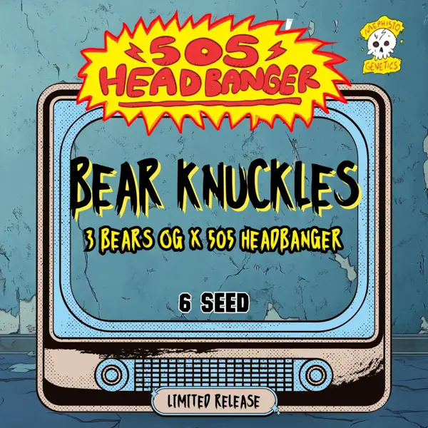 Bear Knuckles Auto