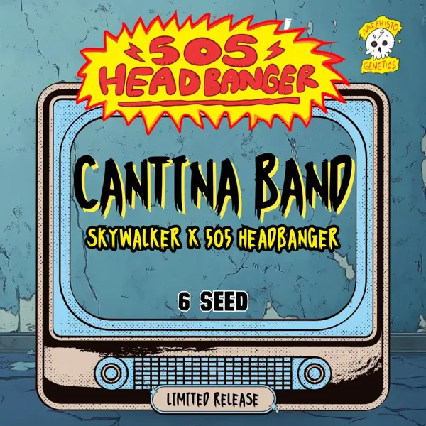 Cantina Band Auto