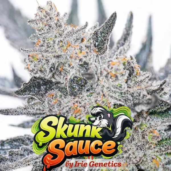 Skunk Sauce (F)