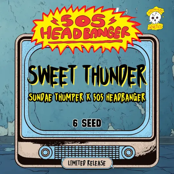 Sweet Thunder Auto