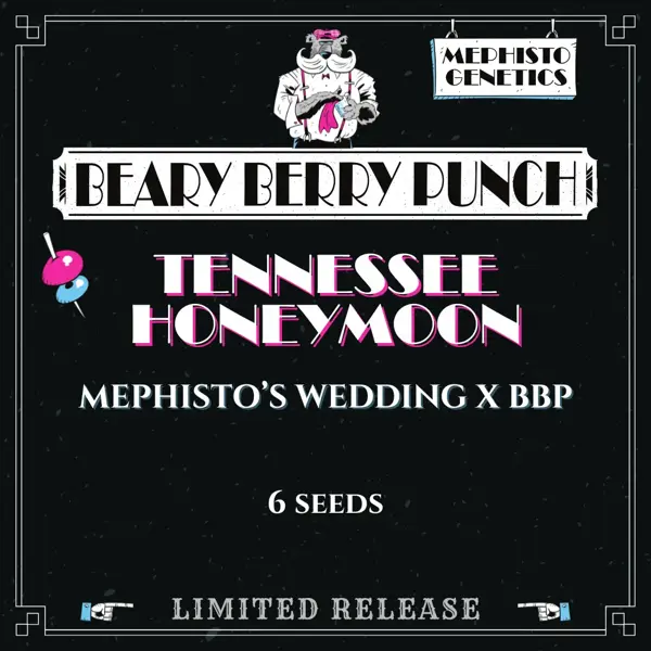 Tennessee Honeymoon Auto