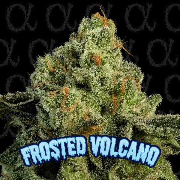 Frosted Volcano (F)