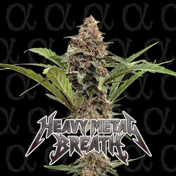 Heavy Metal Breath Auto [LIMITED]